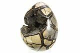 Septarian Dragon Egg Geode - Black Crystals #304617-2